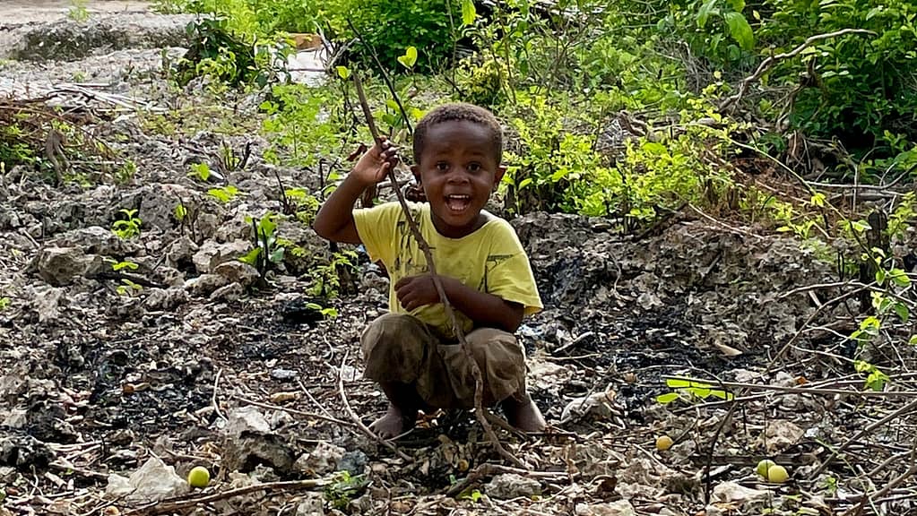 A local Tanzanian boy smiling at the camera surrounded by stones and greenery. 